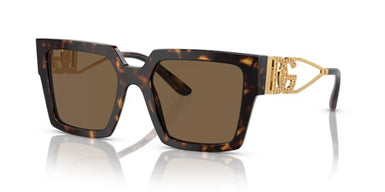 Dolce Gabbana DG4446B 502/73 Woman Sunglasses Brown Havana Acetate with  Gold Metal Strass Temple and Brown Lenses
