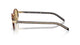 Prada NEW ROUND MODEL PR B56S 21E10R Unisex Round Metal Acetat Sunglass Havana Brown